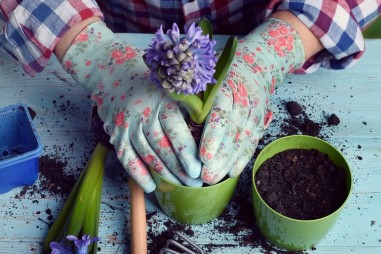 Đã có giải pháp thay thế phân bón hữu cơ chứa than bùn