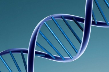 Đã có thể gắn nhãn, truy xuất các tệp dữ liệu DNA