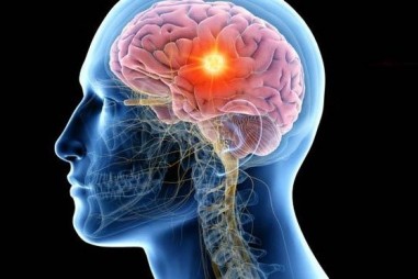 Con người có khả năng tái tạo các bộ phận cơ thể "chưa được khai thác"?