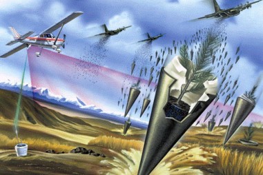 Moshe Alamaro: Trồng rừng từ trên không