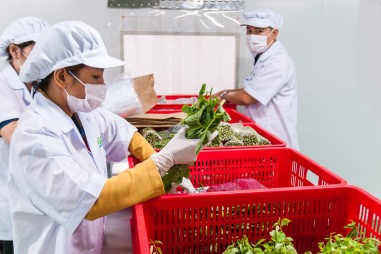 Vai trò của Phòng thử nghiệm trong kiểm soát chất lượng vật tư nông nghiệp