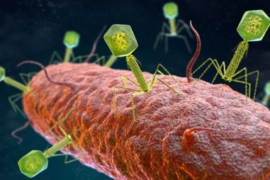 Phát hiện hơn 40.000 virus mới trong ruột người