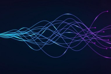 Sử dụng AI để dự đoán các liên kết giữa virus và động vật có vú