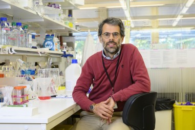 Phương pháp xác định các biến thể mới của coronavirus với chi phí thấp