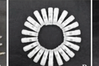 Phân lập chủng vi khuẩn kháng nấm gây bệnh thán thư trên cây ớt