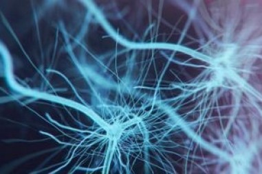 Chất thức thần gia tăng kết nối thần kinh bị mất trong trầm cảm