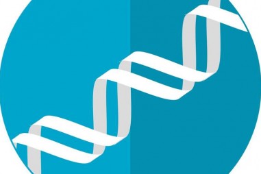 Phân lập các biến thể gen liên quan đến việc kiểm soát trọng lượng cơ thể