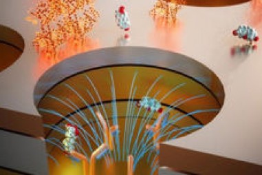 Cảm biến vi mạch mới đo lượng hormon căng thẳng trong máu