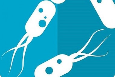 Mối nguy tiềm tàng của một số chất tạo ngọt nhân tạo