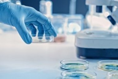 Các nhà khoa học thiết kế Enzyme vi khuẩn  được cho là có khả năng ngăn chặn phản ứng miễn dịch