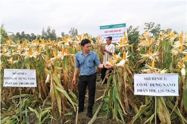 Chế phẩm "đánh thức" hạt giống