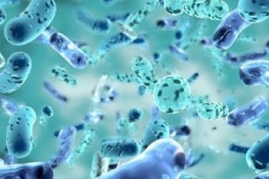 Chiến lược mới cho phát triển thuốc: Giữ nguyên tử đồng gần hơn để vi khuẩn tránh xa