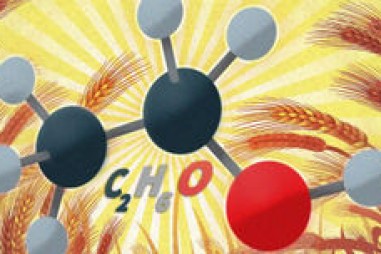 Men vi sinh thúc đẩy sản xuất nhiên liệu sinh học