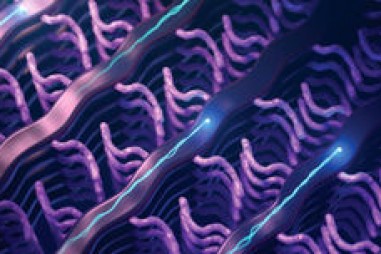 Polymer cảm biến sinh học