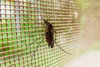 Nghiên cứu hợp chất chống sốt rét liều đơn