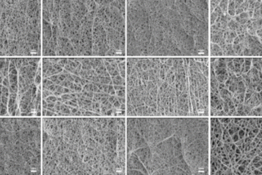 Chế tạo mạch máu nhân tạo đường kính nhỏ phục vụ điều trị tim mạch
