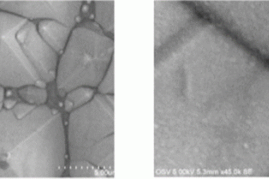 Chế tạo đế cảm biến phát hiện chất hữu cơ tạo màu độc hại trong thực phẩm