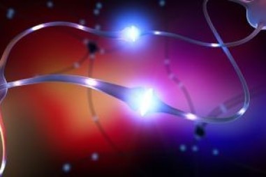 Phương pháp mới xác định protein trong não sống