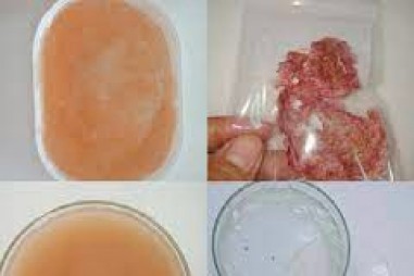 Chế tạo màng sinh học từ vỏ thanh long