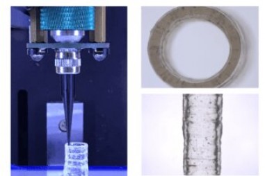 Chế tạo mạch máu sinh học bằng kỹ thuật in 3D