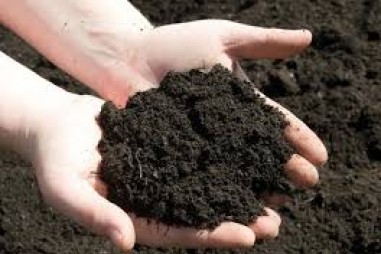 Đo dòng điện trong đất có thể đánh giá sức khỏe của đất