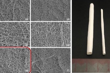 Nhà khoa học Việt chế tạo mạch nhân tạo không gây đông máu