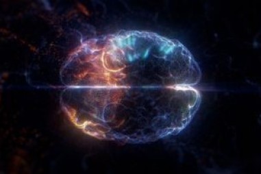 Thiết bị phân tử mới có khả năng tái cấu hình gợi nhớ đến sự dẻo dai của não bộ