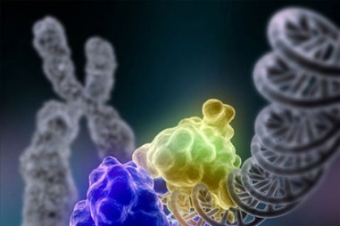 Các nhà nghiên cứu giải quyết vấn đề tìm kiếm sinh học lâu đời