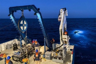 Đột phá mới: Chữa ung thư não bằng xạ khuẩn biển