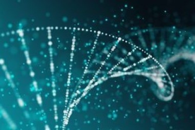 Công nghệ mới giúp nghiên cứu chức năng gen trở nên dễ dàng, nhanh chóng và hiệu quả hơn