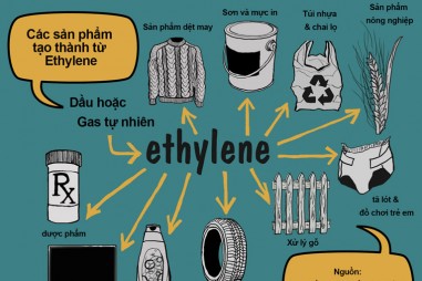 Cần sớm ban hành quy chuẩn kỹ thuật quốc gia về chỉ tiêu và mức giới hạn chất etylen oxit trong thực phẩm