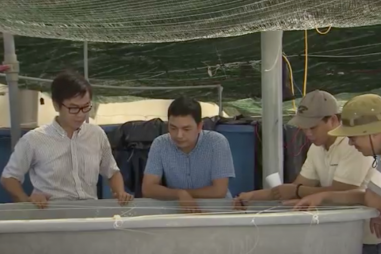 Rút ngắn quy trình nuôi luân trùng