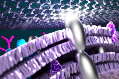 Sử dụng vi khuẩn để cải thiện hiệu suất năng lượng trong pin nhiên liệu