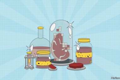 Sản xuất thịt, cá trong phòng thí nghiệm