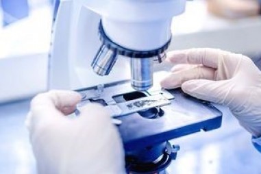 Nghiên cứu tế bào hiệu quả hơn bằng cách sử dụng phương pháp AI mới