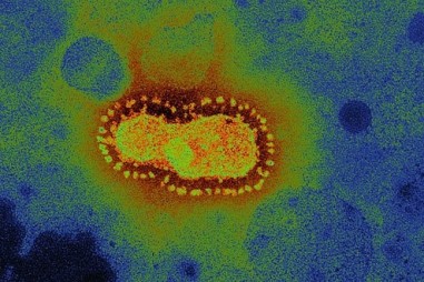 Các nhà khoa học tạo ra thiết bị sử dụng "nhíp ánh sáng" để bẫy và di chuyển vi-rút