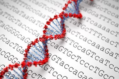 Phát hiện ra 14 gen gây béo phì