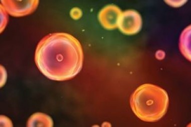 Những đổi mới trong Sinh họcTế bào