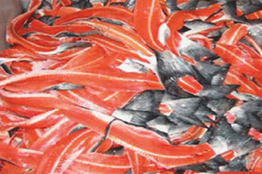 Sản xuất protein và bột canxi từ phế phẩm xương cá