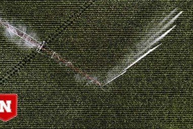 Giảm độc hại trong đất nhờ bổ sung khoáng chất vào nước tưới