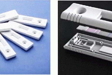 Que thử phát hiện nhanh bệnh hoại tử gan tụy cấp ở tôm