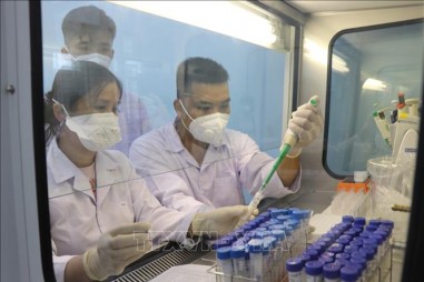 Ứng phó dịch bệnh từ kết quả nghiên cứu: Các đơn vị nhỏ vào cuộc