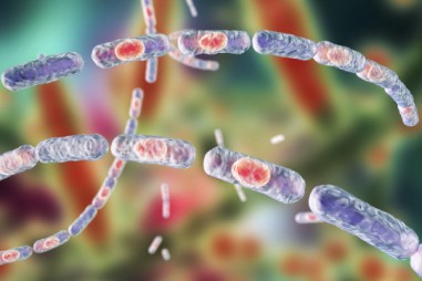 Liệu một loại vi khuẩn nguy hiểm có thể đưa ra một phương pháp mới để làm giảm đau?