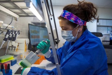 Lý giải nguyên nhân biến chủng Omicron gây bệnh nhẹ hơn biến chủng Delta