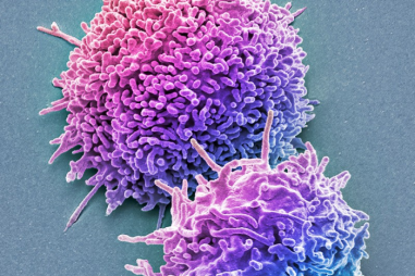 Tế bào T mới là sát thủ của Omicron?