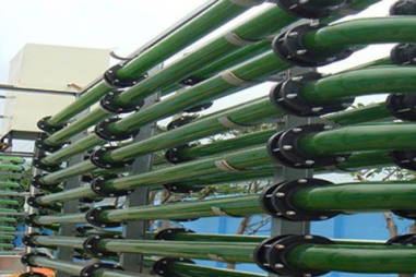 Thiết bị nuôi tảo “tích hợp”