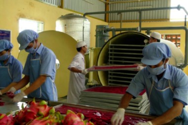 Ứng dụng enzyme trong sản xuất nước thanh long