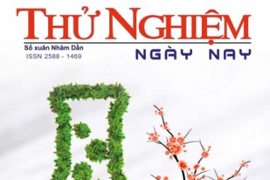 Thử nghiệm Ngày nay số 30
