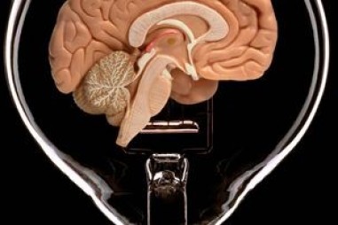 Bản chất của thử nghiệm quyết định lớn đến kết quả thử nghiệm