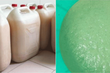 Chất ổn định từ bã nấm men bia cho quá trình chế tạo nano selen